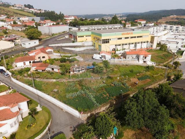 Terreno, Cavalões
