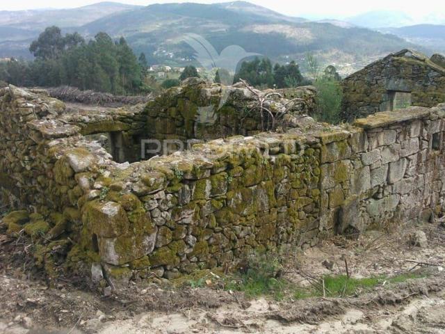 Terreno, Cavez