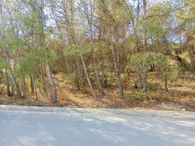 Terreno, Cañada