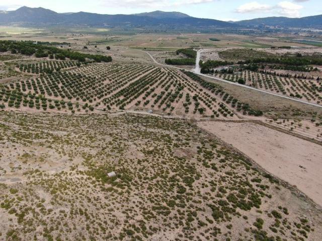 Terreno, Cañada