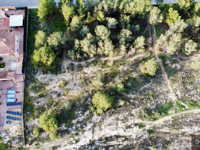 Terreno, Cañada