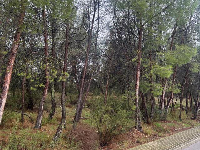 Terreno, Cañada