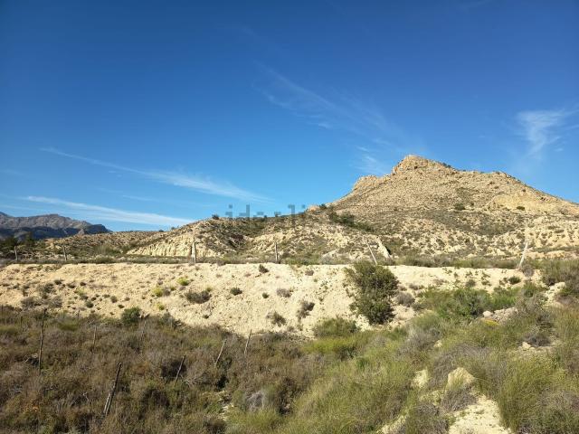 Terreno, Cañada del Fenollar