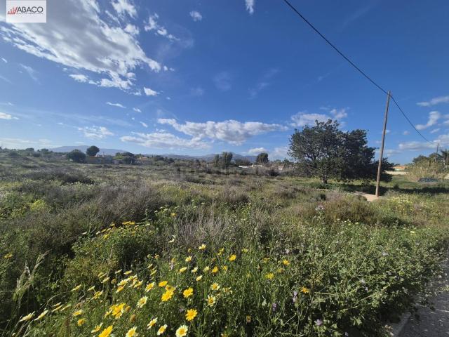 Terreno, Cañada del Fenollar