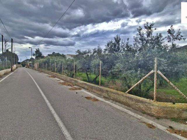 Terreno, Cañada del Fenollar