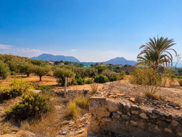 Terreno, Cañada del Fenollar