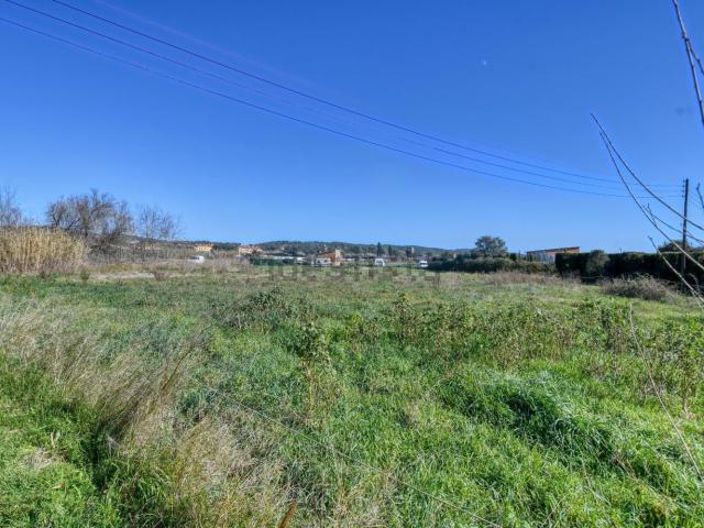 Terreno, Centre, Palafrugell