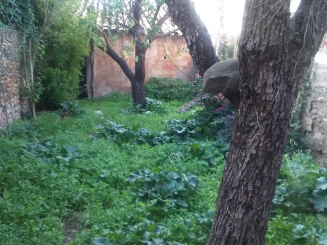 TERRENO CÉNTRICO EN VENTA!