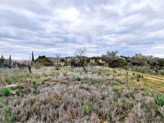 Terreno, Centro Antigo, Albufeira e Olhos de Água