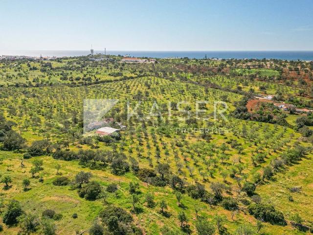 Terreno, Centro da Cidade, Albufeira e Olhos de Água