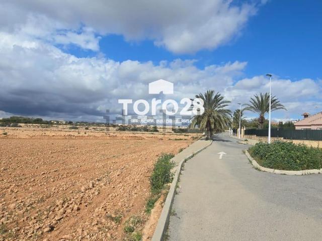 Terreno, Centro, Elche / Elx