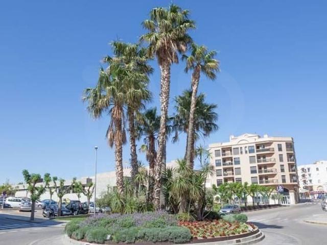 Terreno, Olivers Paseo Marítimo, Mont Roig del Camp