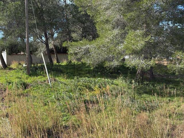 Terreno, Centro, Mont Roig del Camp
