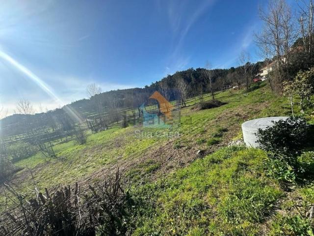 Terreno, Cepães e Fareja