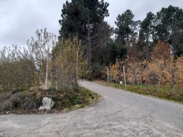 Terreno, Cepões, Meijinhos e Melcões, Lamego | BPI Expresso Imobiliário