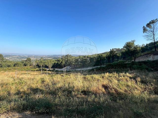 Terreno, Cernadelo e Lousada