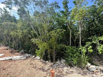 Terreno Cerca Aeropuerto y Tren Maya | Residencial de Lujo | Cancún