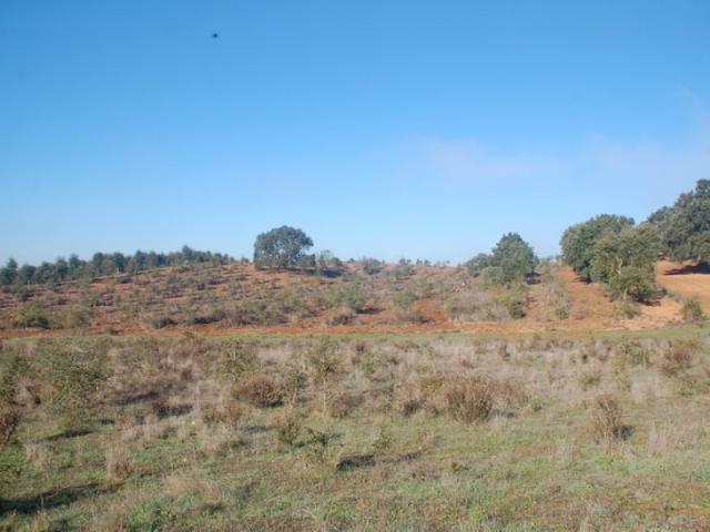 Terreno Cercal 3ha
