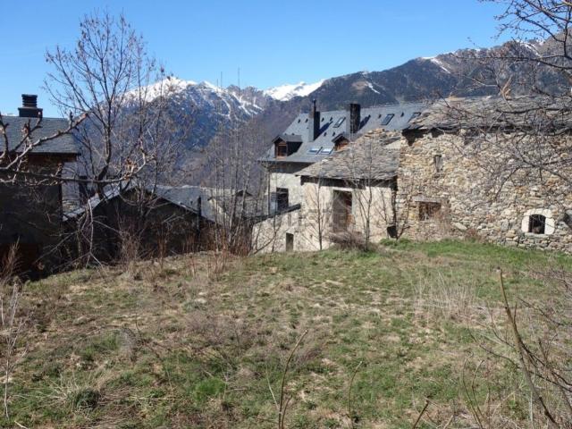 Terreno, Cerler