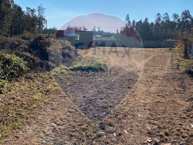 Terreno, Cervães