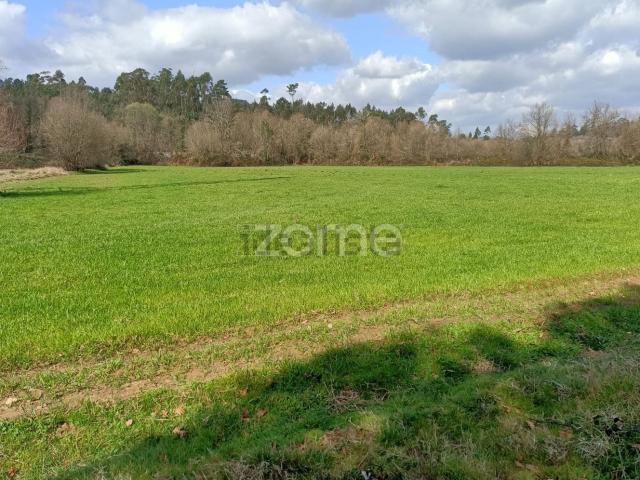 Terreno, Cervães