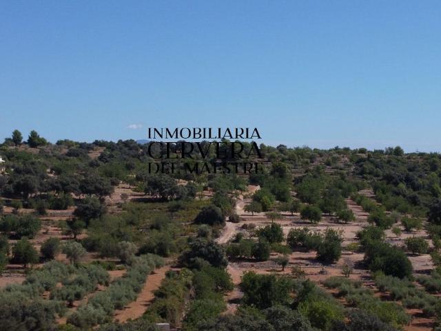 Terreno, Cervera del Maestre