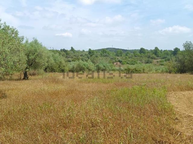 Terreno, Cervera del Maestre