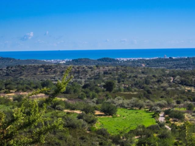 Terreno, Cervera del Maestre