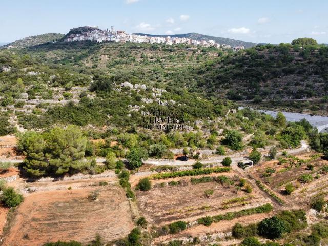Terreno, Cervera del Maestre