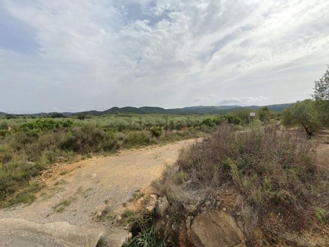 Terreno, Cervera del Maestre