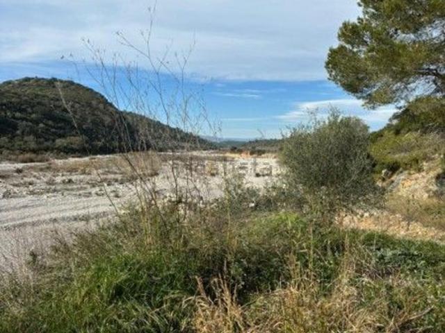 Terreno, Cervera del Maestre