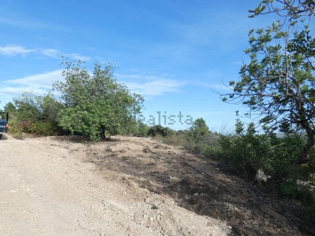 Terreno, Cervera del Maestre