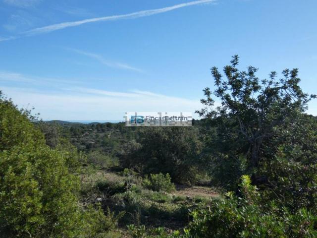 Terreno, Cervera del Maestre