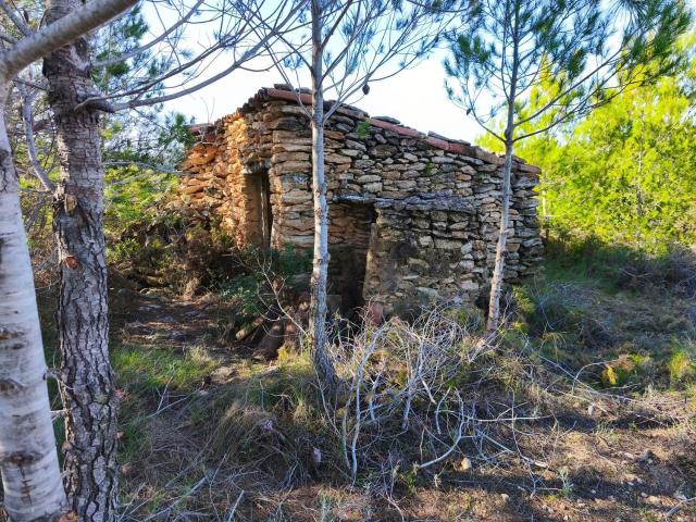 Terreno, Cervera del Maestre