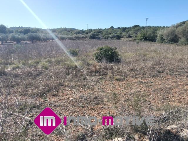Terreno, Cervera del Maestre