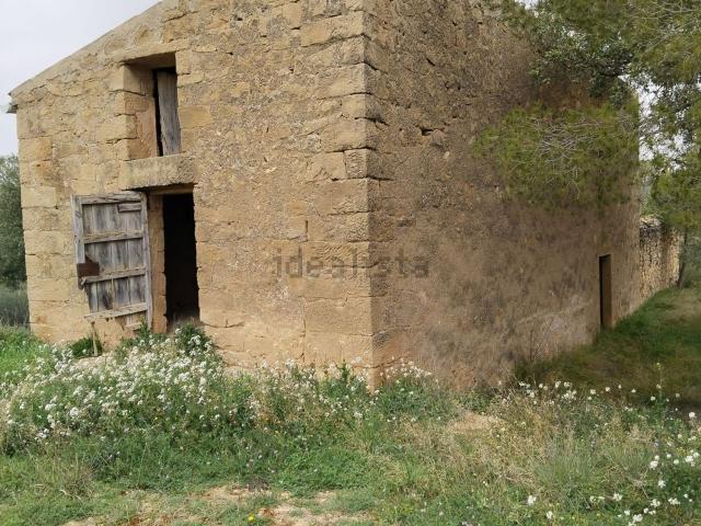 Terreno, Cerviá de les Garrigues