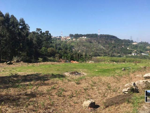 Terreno, Cete