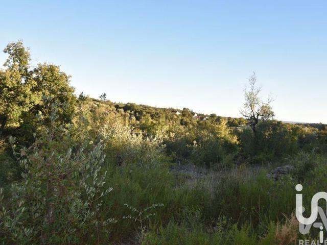 Terreno, Chãos