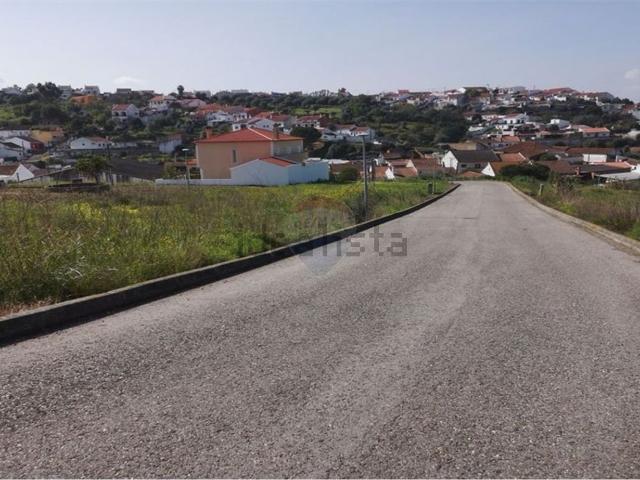 Terreno, Chamusca