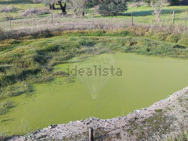 Terreno, Chancelaria