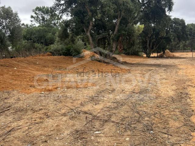 Terreno, Charneca da Caparica e Sobreda