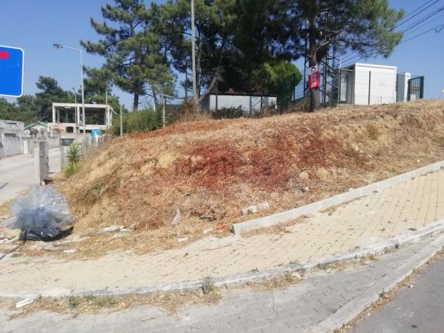 Terreno, Charneca da Caparica e Sobreda