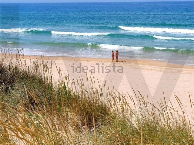 Terreno, Charneca da Caparica e Sobreda