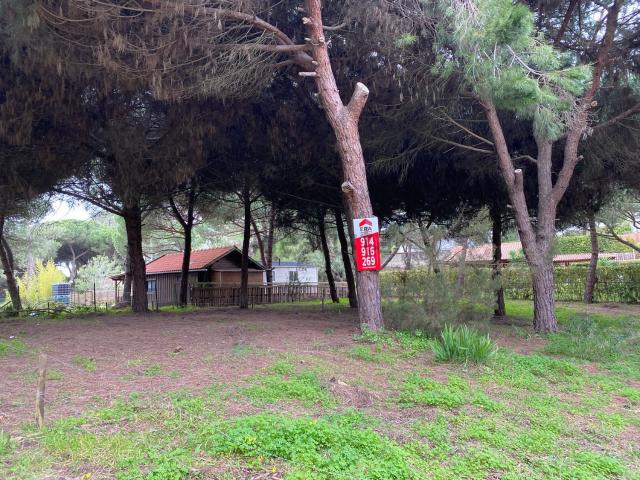 Terreno, Charneca da Caparica e Sobreda