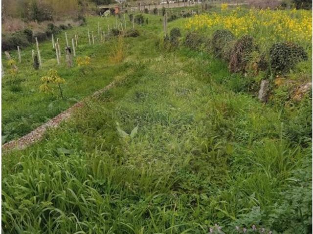 Terreno, Chaviães e Paços, Melgaço | BPI Expresso Imobiliário