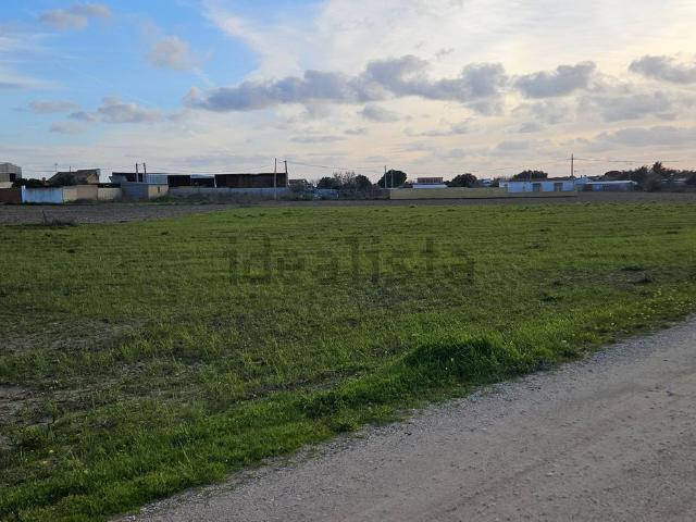 Terreno, Chiclana de la Frontera