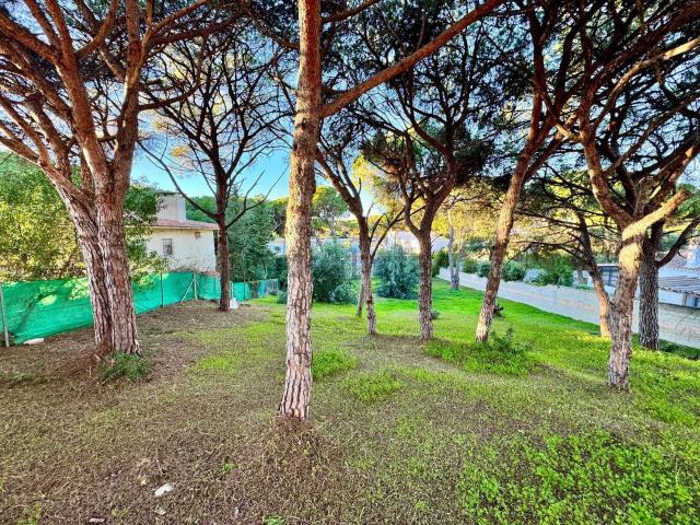Terreno, Chiclana de la Frontera