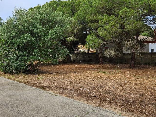 Terreno, Chiclana de la Frontera