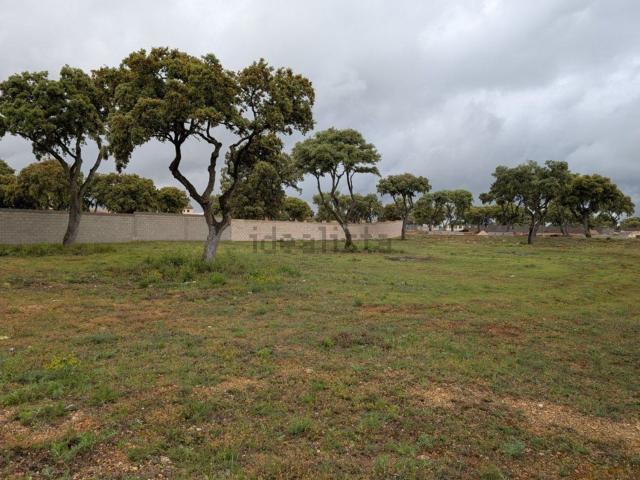 Terreno, Chiloeches