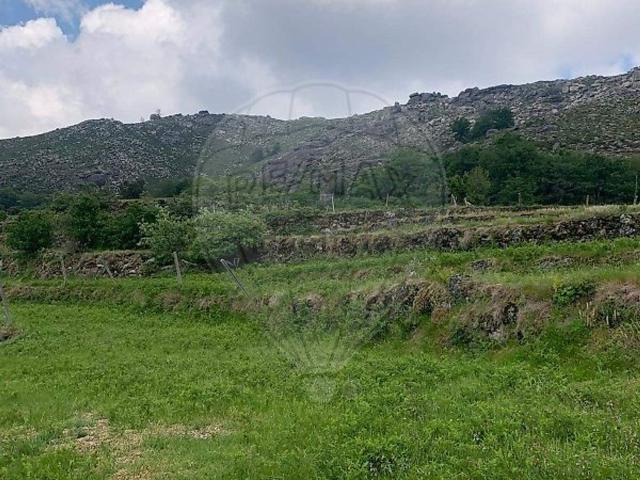 Terreno, Chorense e Monte